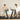 Two women use treadmills: one exercises in sportswear, while the other works on a laptop in casual attire.